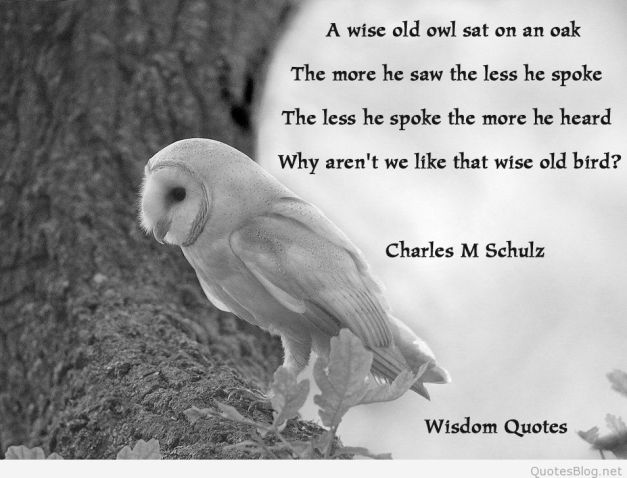 _0_A Wise Owl